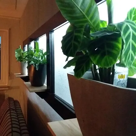 Haus S.e.e. * Marienthal (Rhineland-Palatinate)