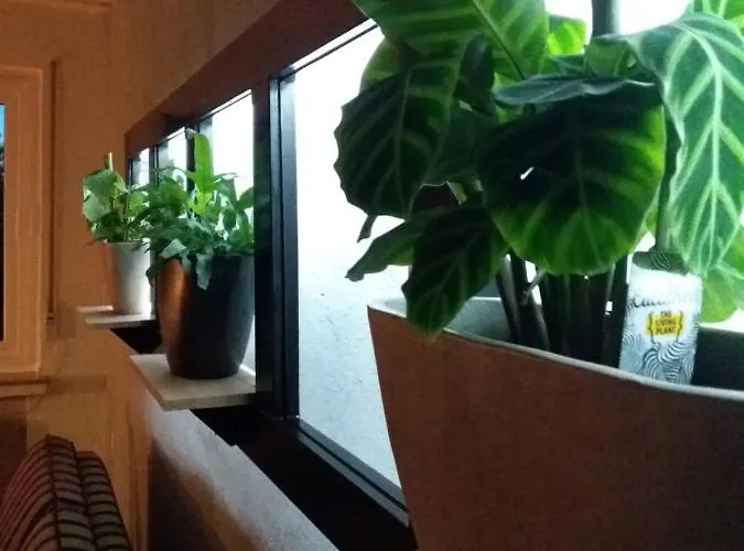 Haus S.e.e. * Marienthal (Rhineland-Palatinate)