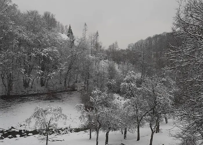 Haus S.e.e. Marienthal (Rhineland-Palatinate)